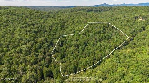 Tiny photo for 755 Bear Branch Rd, Wartburg, TN 37887 (MLS # 1355556)