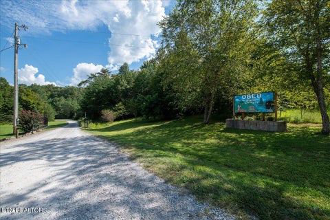 Tiny photo for 755 Bear Branch Rd, Wartburg, TN 37887 (MLS # 1355556)