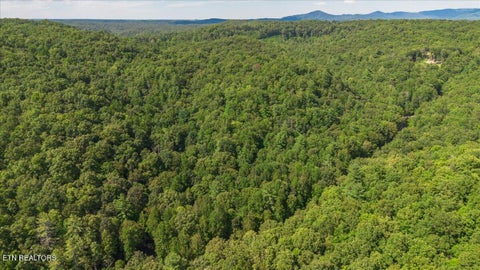 Tiny photo for 755 Bear Branch Rd, Wartburg, TN 37887 (MLS # 1355556)