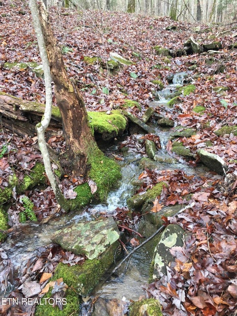 Tiny photo for 755 Bear Branch Rd, Wartburg, TN 37887 (MLS # 1355556)