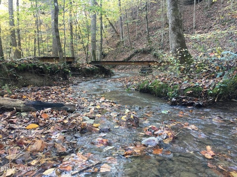 Tiny photo for 755 Bear Branch Rd, Wartburg, TN 37887 (MLS # 1355556)