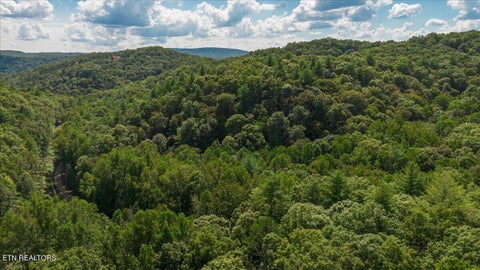 Tiny photo for 755 Bear Branch Rd, Wartburg, TN 37887 (MLS # 1355556)