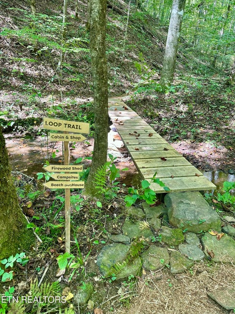 Tiny photo for 755 Bear Branch Rd, Wartburg, TN 37887 (MLS # 1355556)