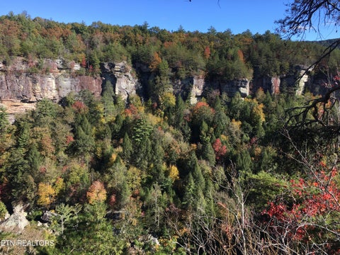 Tiny photo for 755 Bear Branch Rd, Wartburg, TN 37887 (MLS # 1355556)