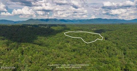 Tiny photo for 755 Bear Branch Rd, Wartburg, TN 37887 (MLS # 1355556)