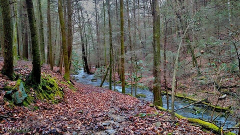 Tiny photo for 755 Bear Branch Rd, Wartburg, TN 37887 (MLS # 1355556)