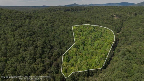 Tiny photo for 755 Bear Branch Rd, Wartburg, TN 37887 (MLS # 1355556)