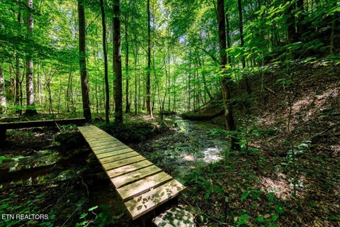 Tiny photo for 755 Bear Branch Rd, Wartburg, TN 37887 (MLS # 1355556)