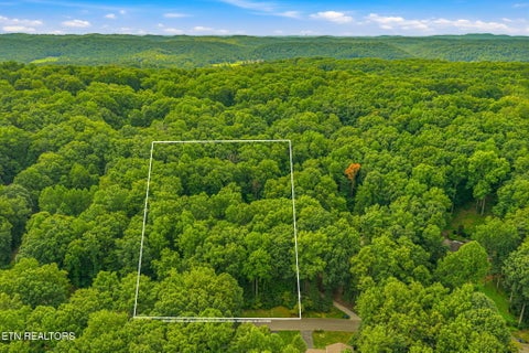 Tiny photo for 1130 W Outer Drive, Oak Ridge, TN 37830 (MLS # 1350729)