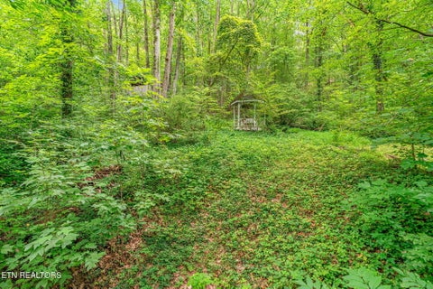 Tiny photo for 1130 W Outer Drive, Oak Ridge, TN 37830 (MLS # 1350729)