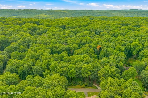 Tiny photo for 1130 W Outer Drive, Oak Ridge, TN 37830 (MLS # 1350729)