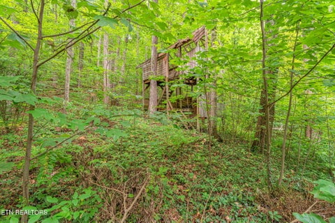 Tiny photo for 1130 W Outer Drive, Oak Ridge, TN 37830 (MLS # 1350729)