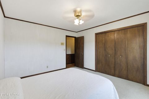 Tiny photo for 4217 Us Highway 411, Maryville, TN 37801 (MLS # 1328273)