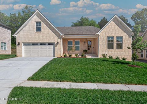 Photo of 12315 Cotton Blossom Lane, Knoxville, TN 37934 (MLS # 1333895)