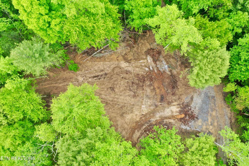 Photo of Abe Lane, Lancing, TN 37770 (MLS # 1311116)