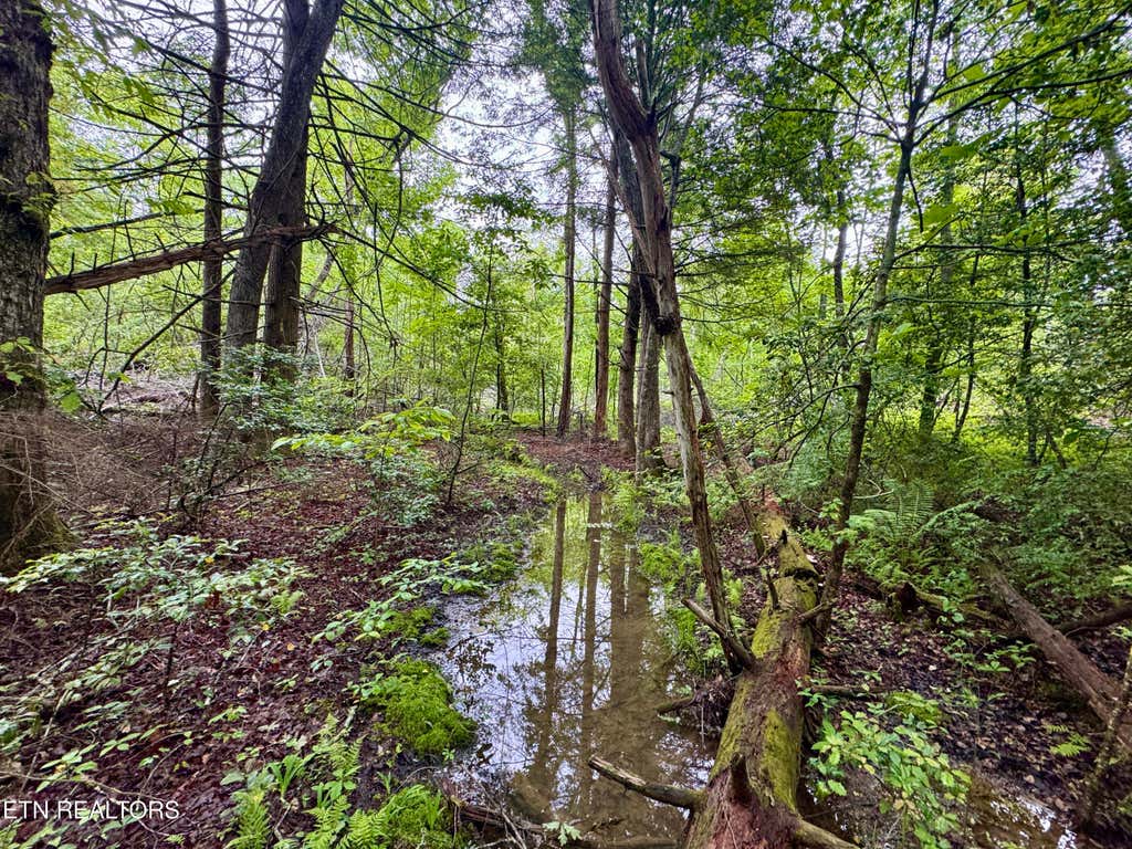 Photo of Abe Lane, Lancing, TN 37770 (MLS # 1311116)