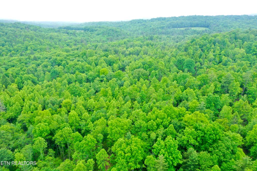 Photo of Abe Lane, Lancing, TN 37770 (MLS # 1311116)