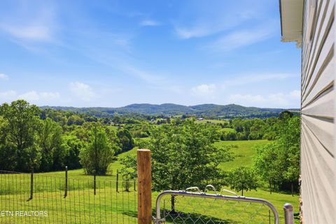 Tiny photo for 5502 Indian Ridge Rd, Rutledge, TN 37861 (MLS # 1337461)