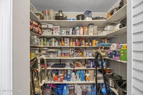 Tiny photo for 779 Goin Rd, New Tazewell, TN 37825 (MLS # 1318778)
