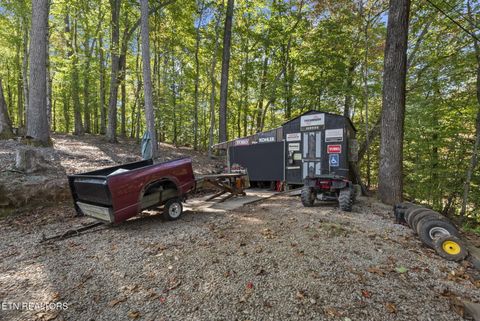 Tiny photo for 779 Goin Rd, New Tazewell, TN 37825 (MLS # 1318778)