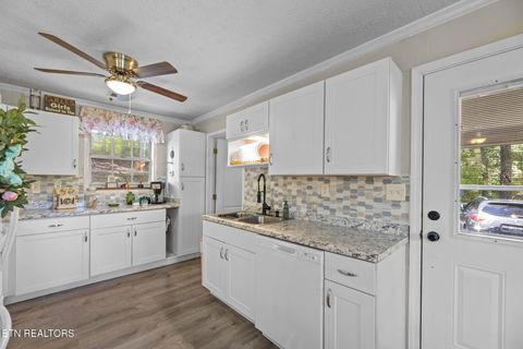 Tiny photo for 779 Goin Rd, New Tazewell, TN 37825 (MLS # 1318778)