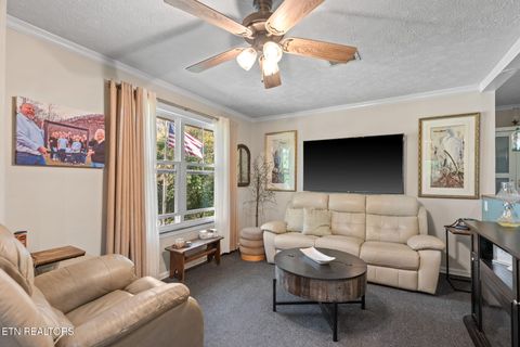 Tiny photo for 779 Goin Rd, New Tazewell, TN 37825 (MLS # 1318778)