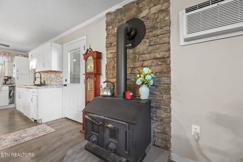 Tiny photo for 779 Goin Rd, New Tazewell, TN 37825 (MLS # 1318778)