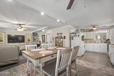 Tiny photo for 779 Goin Rd, New Tazewell, TN 37825 (MLS # 1318778)