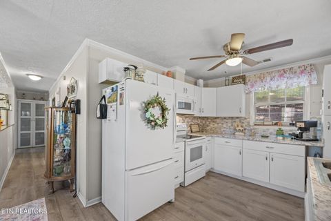 Tiny photo for 779 Goin Rd, New Tazewell, TN 37825 (MLS # 1318778)