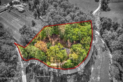 Tiny photo for 779 Goin Rd, New Tazewell, TN 37825 (MLS # 1318778)