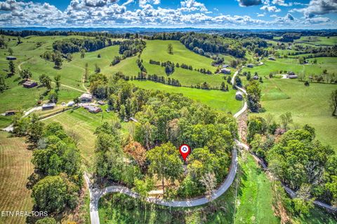 Tiny photo for 779 Goin Rd, New Tazewell, TN 37825 (MLS # 1318778)