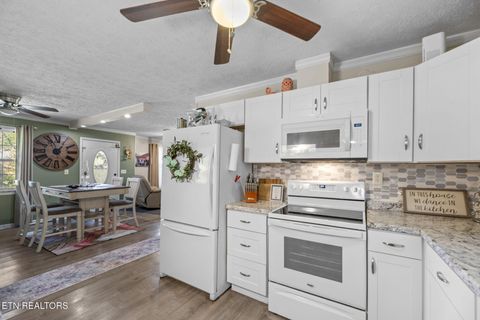 Tiny photo for 779 Goin Rd, New Tazewell, TN 37825 (MLS # 1318778)