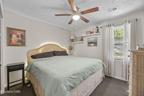 Tiny photo for 779 Goin Rd, New Tazewell, TN 37825 (MLS # 1318778)