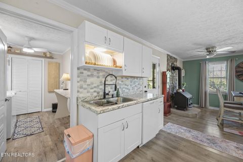Tiny photo for 779 Goin Rd, New Tazewell, TN 37825 (MLS # 1318778)