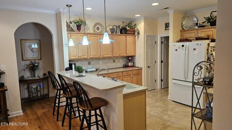 Tiny photo for 236 Ganega Tr, Vonore, TN 37885 (MLS # 1323864)