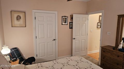 Tiny photo for 236 Ganega Tr, Vonore, TN 37885 (MLS # 1323864)