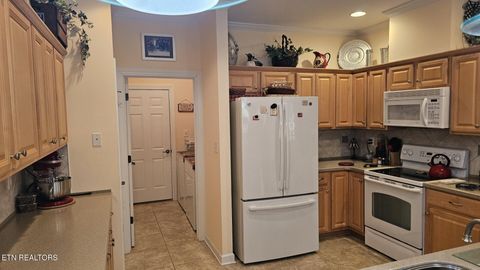 Tiny photo for 236 Ganega Tr, Vonore, TN 37885 (MLS # 1323864)