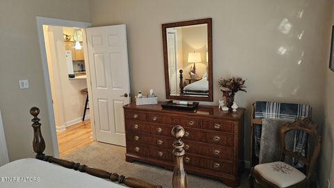 Tiny photo for 236 Ganega Tr, Vonore, TN 37885 (MLS # 1323864)