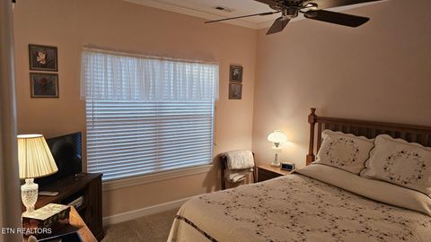 Tiny photo for 236 Ganega Tr, Vonore, TN 37885 (MLS # 1323864)