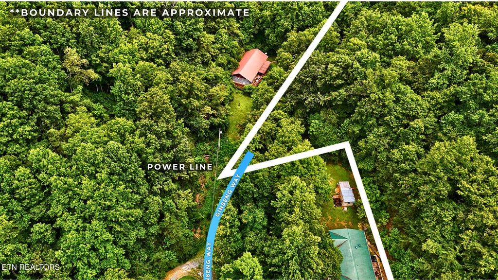 Photo of 0 GInseng Way, Parrottsville, TN 37843 (MLS # 1339309)
