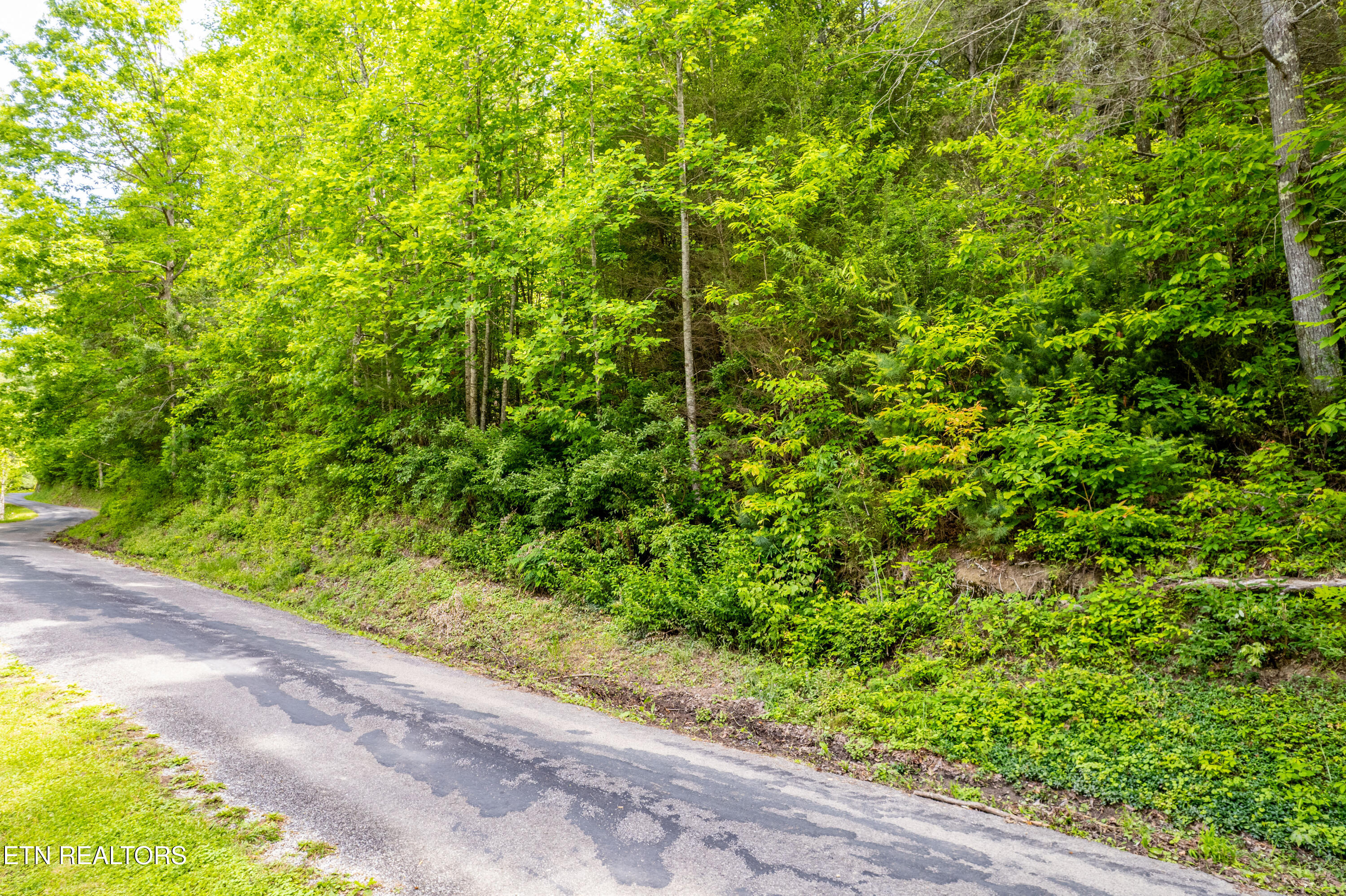 000 Rafter / Cane Creek Mountain Rd