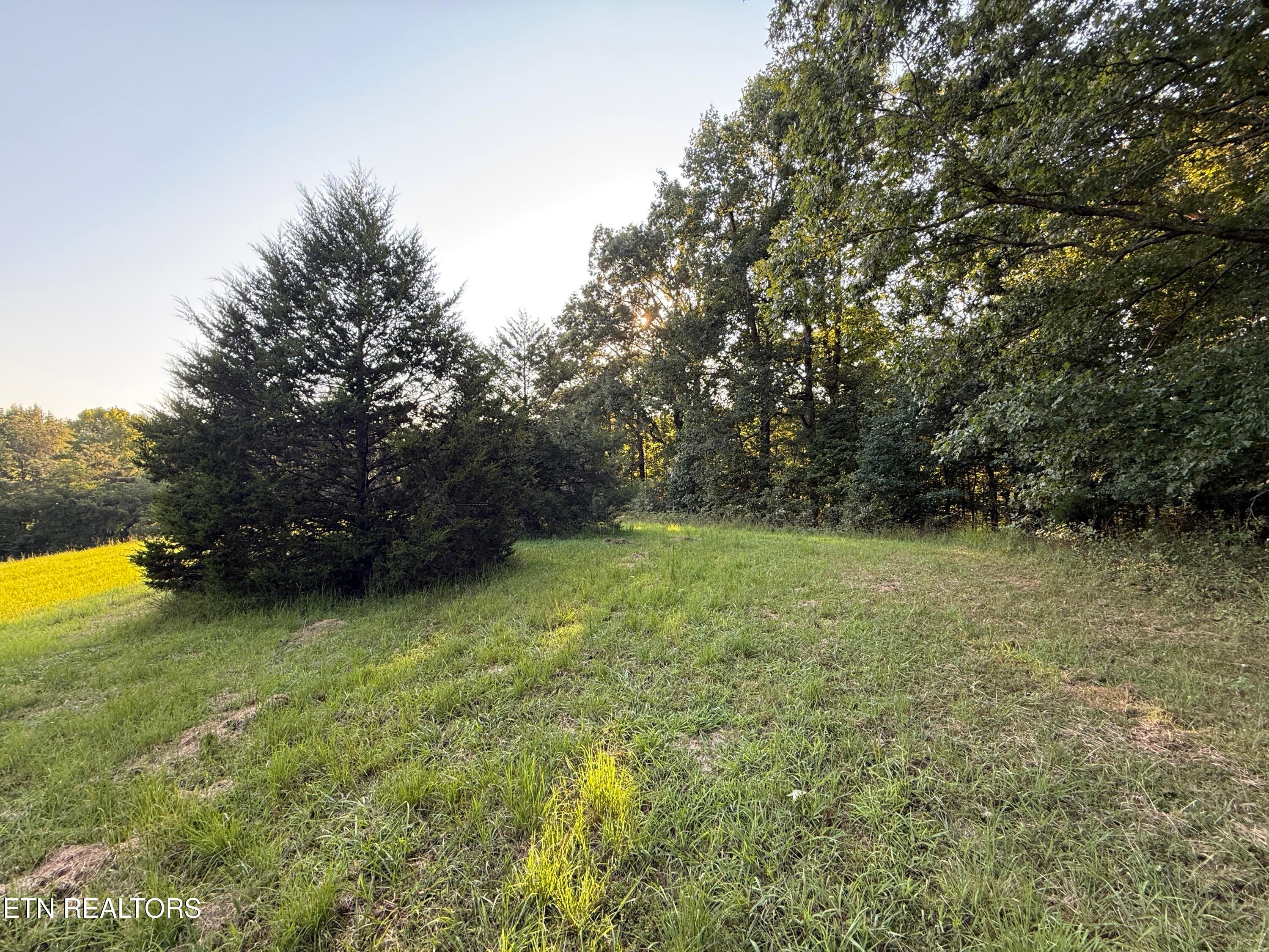 1305 Sweetwater Rd