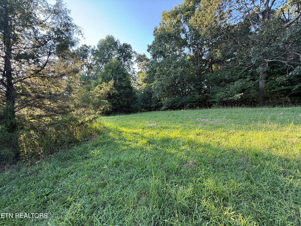 Photo of 1305 Sweetwater Rd, Philadelphia, TN 37846 (MLS # 1353702)