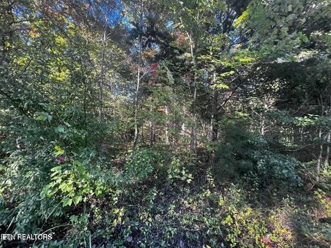 Photo of Falling Leaf Rd, Jamestown, TN 38556 (MLS # 1321472)