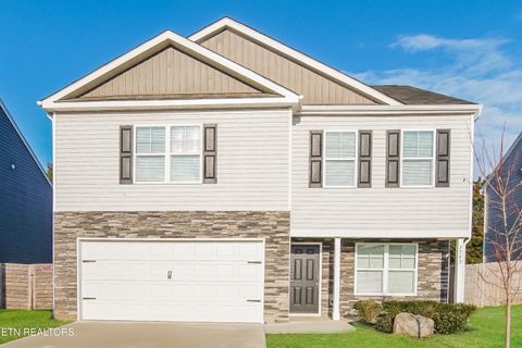 Photo of 7743 Bill Keaton Drive, Corryton, TN 37721 (MLS # 1324692)
