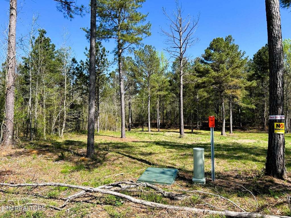 Photo of 3720 Charles Road Rd, Decatur, TN 37322 (MLS # 1297116)