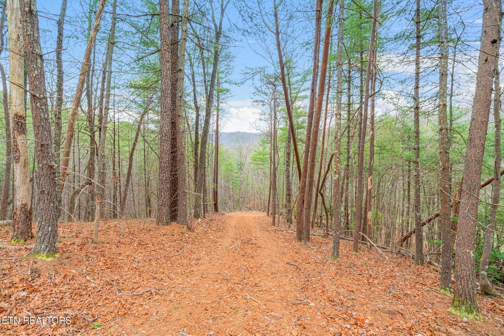 Photo of Rafter Rd #129 019.02, Tellico Plains, TN 37385 (MLS # 1330776)