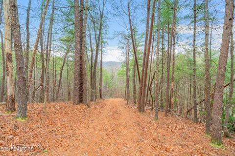 Photo of Rafter Rd #129 019.02, Tellico Plains, TN 37385 (MLS # 1330776)