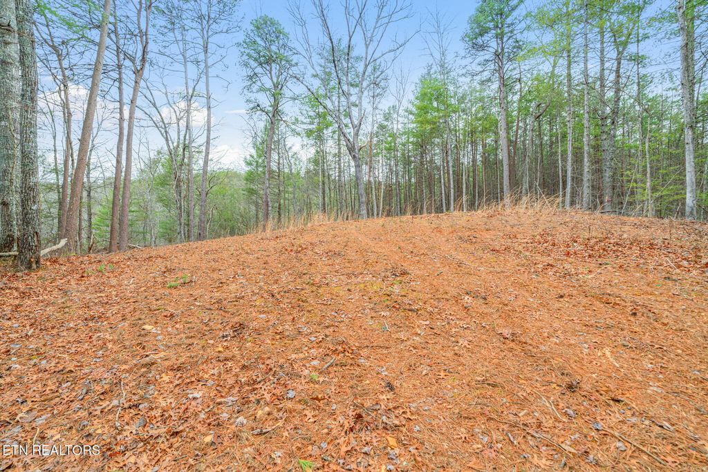 Photo of Rafter Rd #129 019.02, Tellico Plains, TN 37385 (MLS # 1330776)