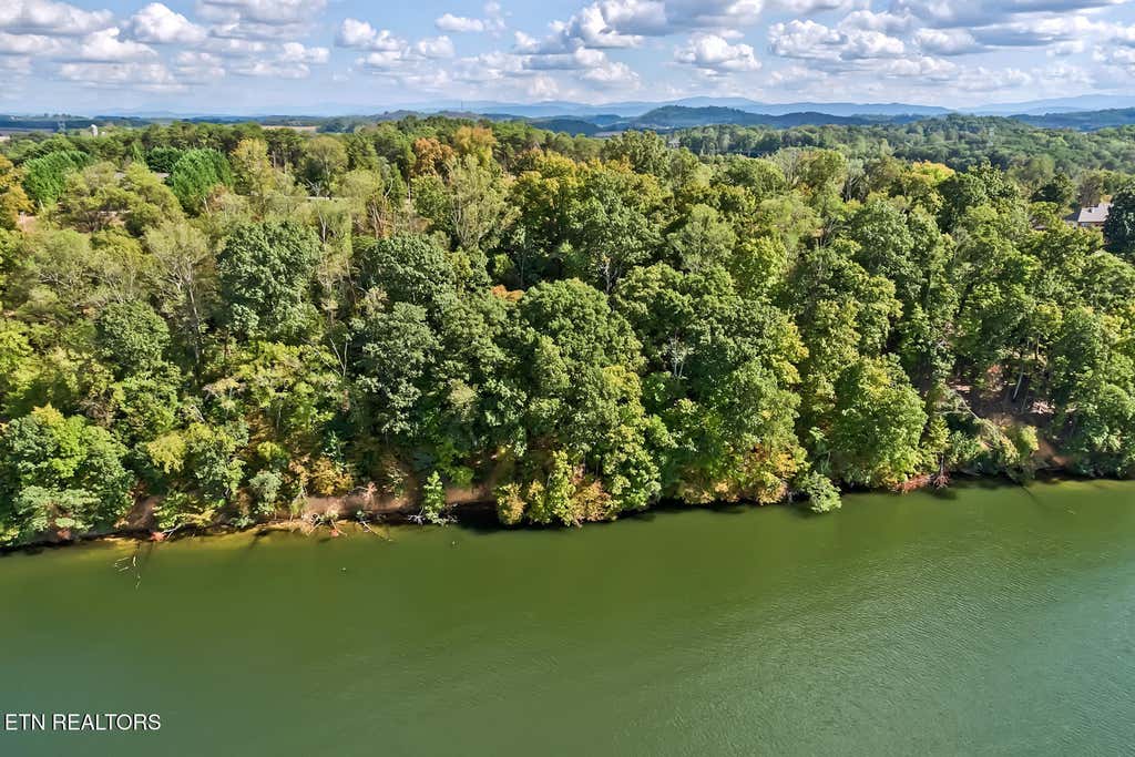 Photo of 170 Bluffton Rd, Friendsville, TN 37737 (MLS # 1342061)